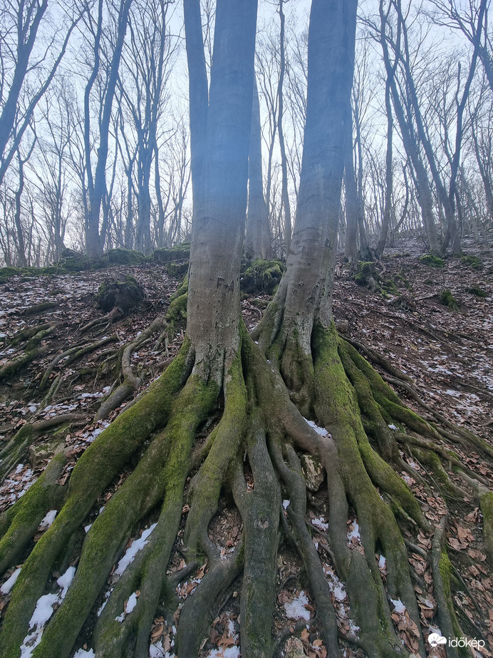 Dera szurdok, szerelem