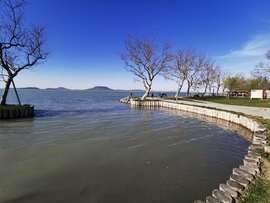 Balatonfenyvesen