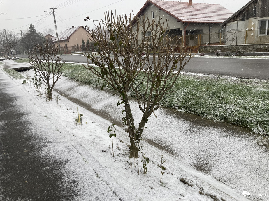 Szamosdara(Párcíum,Románia) Gyönyörű szép intenzitással hullik a hó.