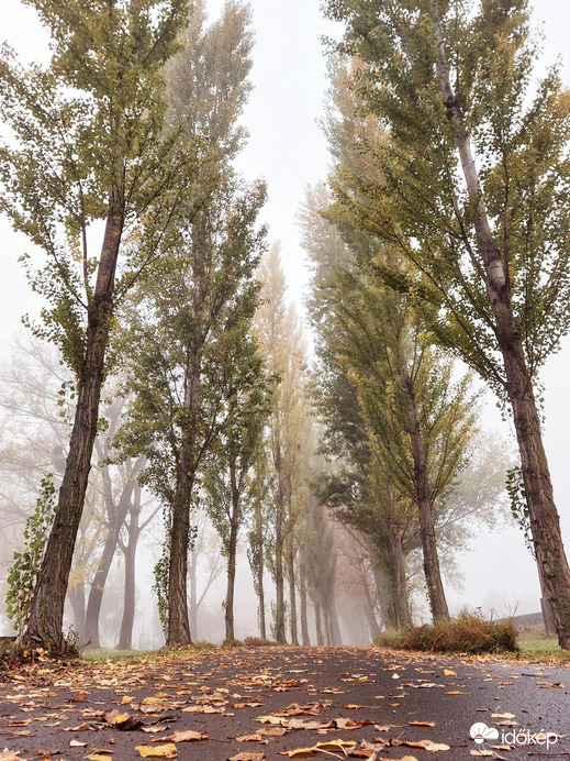 Balatongyörök sétány