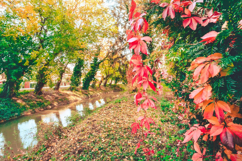 Fotó: Andras Pinter Photography