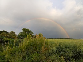 Szivárvány Szeged