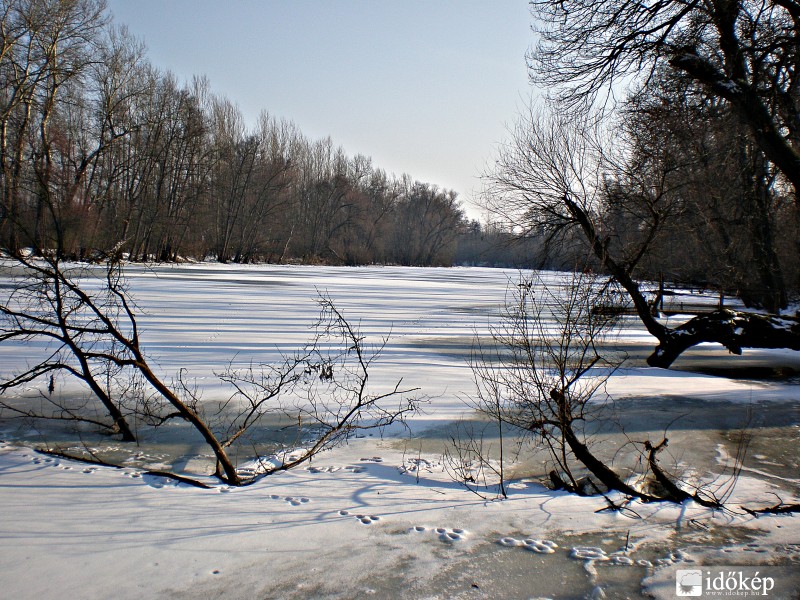 A befagyott Tisza holtág