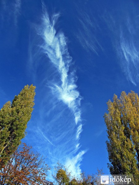 Cirrus fibratus vertebratus