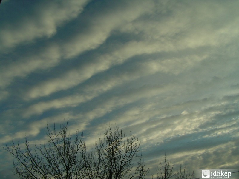 Altocumulus undulatus Érd 2009.12.16.