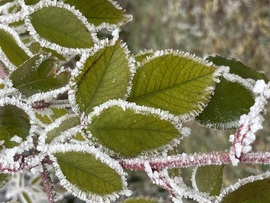 szfrita fotója