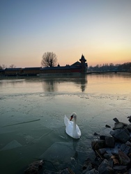 Jegesedő Balaton Keszthelyen