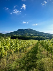 Balaton-felvidéki gyönyörűség