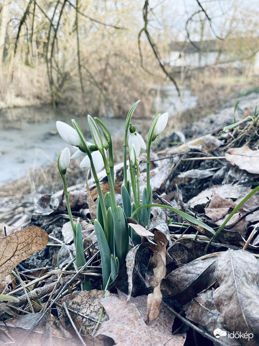 Ébredezik a természet