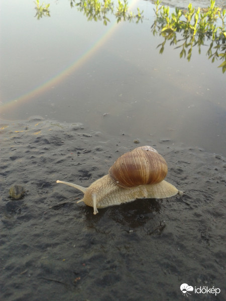 Szivárvány tükröződés a vízben