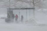 Winter Storm Linus