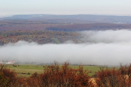 Papod-tető