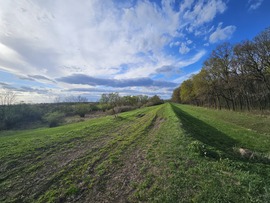 Gyula-Városerdő