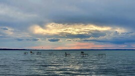 Balatonfenyves