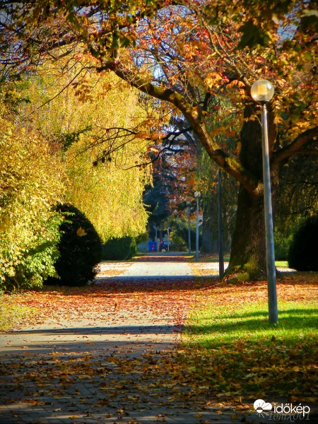 Ősz a parkban