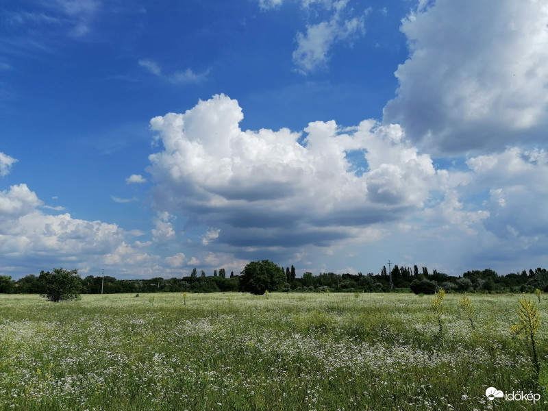 Budakalász, Megyeri híd közelében