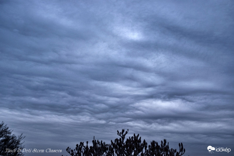 undulatus asperatus - ma délután 