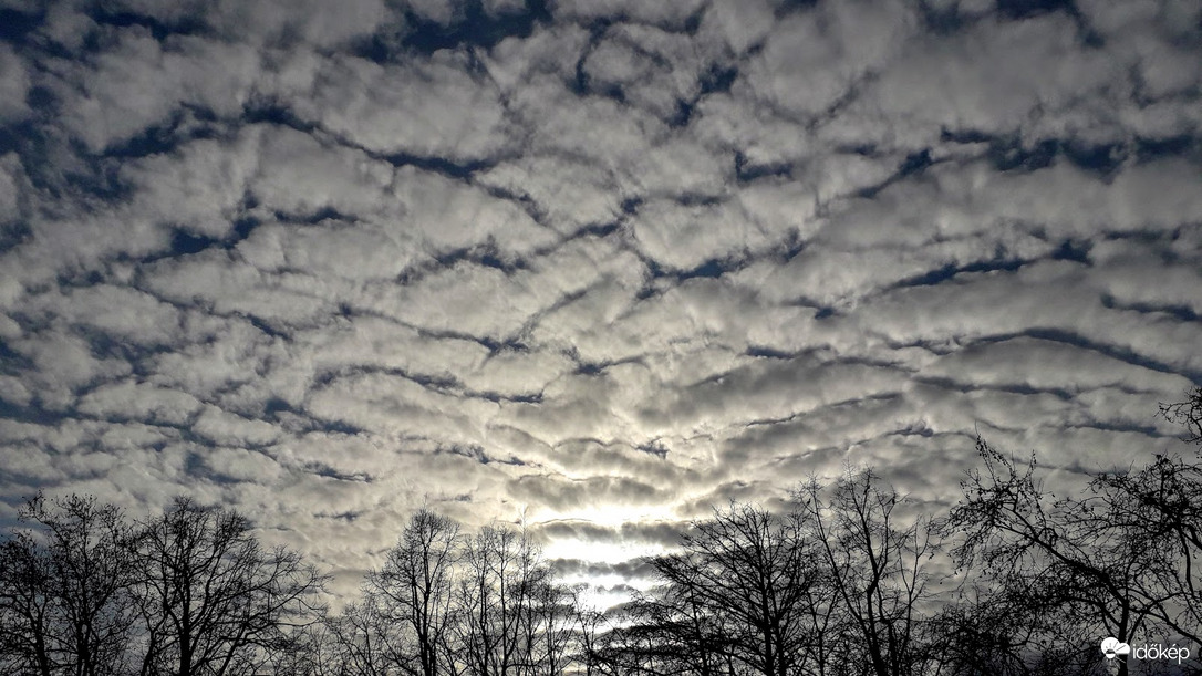 "Altocumulus"