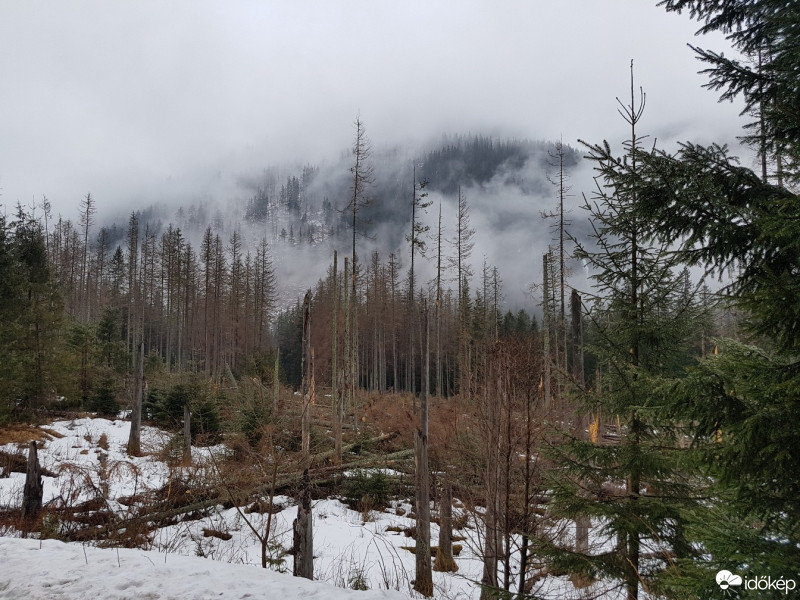 Zakopane