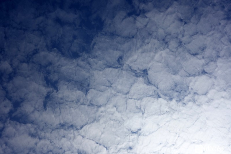 Altocumulus lacunosus