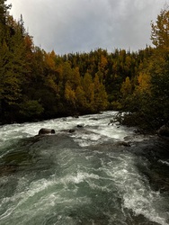 Ősz a tundrán