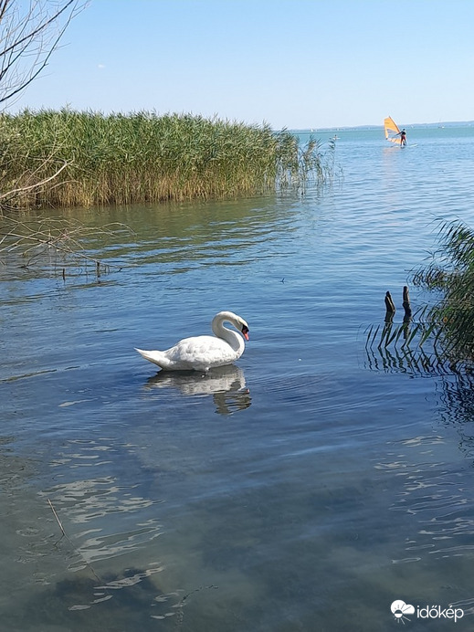 Balatonalmádi