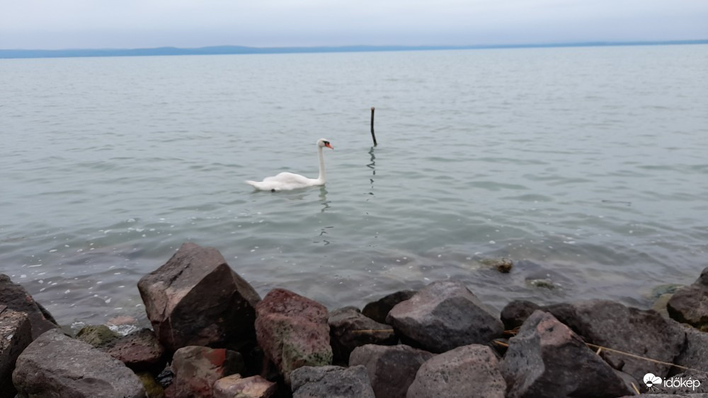 Balatonszabadi