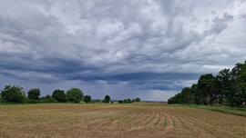 Balatonszárszó