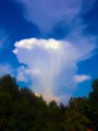 Cumulonimbus incus