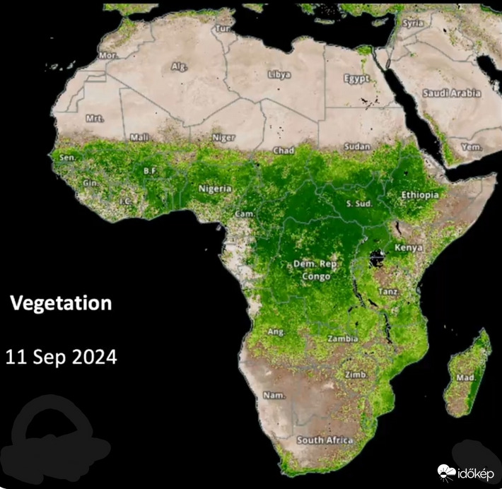A Szahara zöldebb mint tavaly
