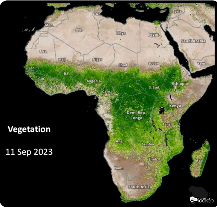 A Szahara szokatlan zöldülése 2024 szept. 11