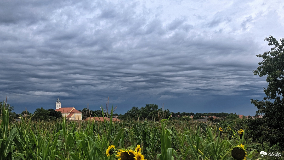 Hullámfelhők