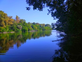 Tisza holtág (Kubik)