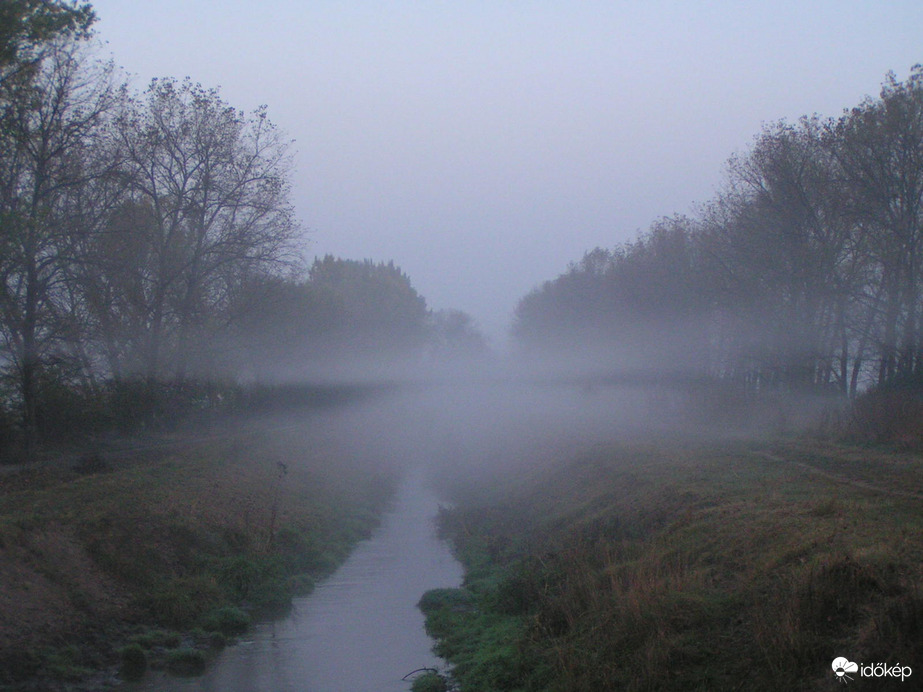 Köd a Tárnoki Benta-pataknál