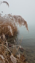 Balatonfűzfő