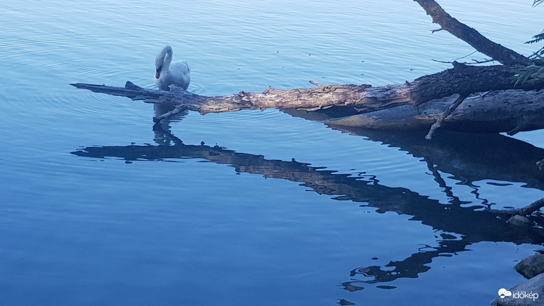 Balatonfűzfő