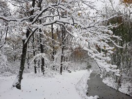 Téli mesevilág a Sástónál