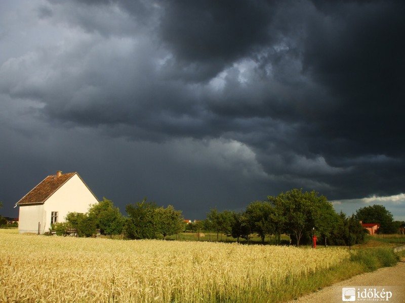 Székesfehérvár 2011.06.19.