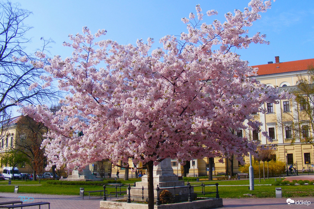 Debrecen, 2017. április