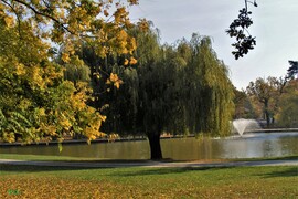 Debrecen, Nagyerdő