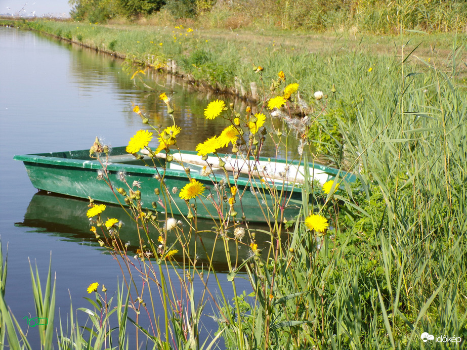 Hortobágyi csendélet